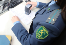 Внесены изменения в порядок статистического декларирования