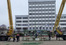 В Борисове на центральной площади начался монтаж главной ёлки города