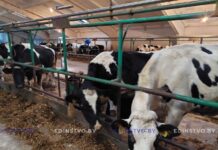 Месячник безопасности в сельском хозяйстве стартовал на Борисовщине