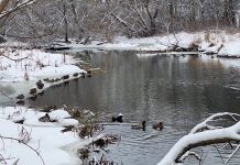 Зимние реки, снежные берега. Фоторепортаж