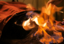 Что нельзя делать при пожаре? Рассказали в Борисовском ГРОЧС