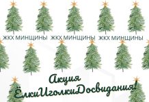 Адреса сбора хвойных деревьев на Борисовщине