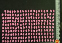 На Борисовщине задержаны два иностранца с партией психотропов