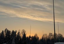 Борисов, 21 января 2026