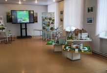 Благоустройство Борисовщины: лучшие инициативы и проекты на семинаре-практикуме