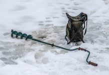 Запрет на ловлю щуки в Минской области: важная информация