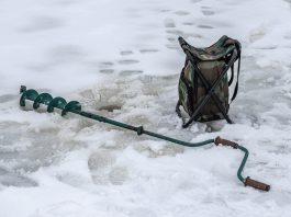 Запрет на ловлю щуки в Минской области: важная информация