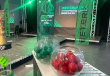 БАТЭ стартует в высшей лиге-2026 в Гродно