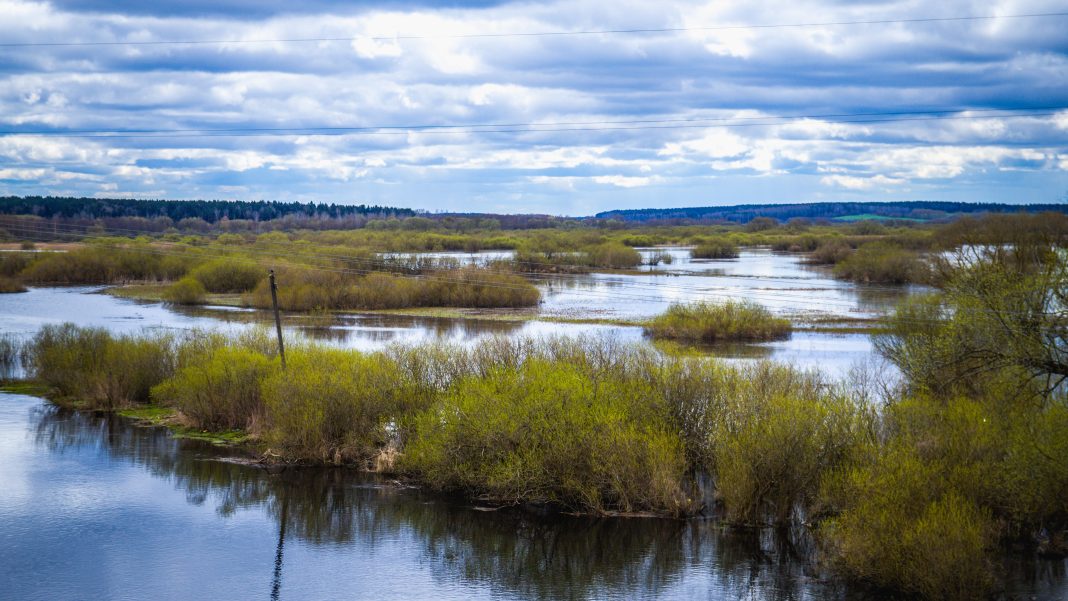 Прогноз весеннего половодья: уровень воды и риски затоплений
