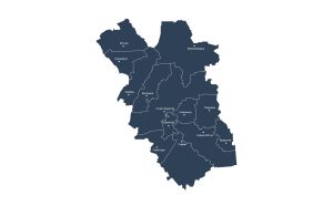 Борисовский район