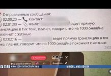 В Борисове спасли парня от суицида благодаря чат-боту МВД