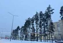 Каков режим работы уличных фонарей на Борисовщине