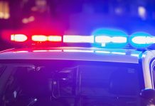 Транспортная инспекция предупреждает о последствиях неповиновения законным требованиям должностных лиц: штрафы и административная ответственность