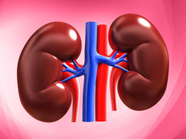 Всемирный день борьбы с заболеваниями почек