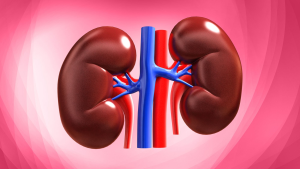 Всемирный день борьбы с заболеваниями почек