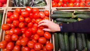 КГК Минской области проведены контрольные мероприятия по вопросам насыщения рынка отечественной плодоовощной продукцией