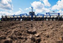 Выявлен очередной факт хищения в сфере АПК