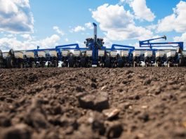 Выявлен очередной факт хищения в сфере АПК Выявлен очередной факт хищения в сфере АПК