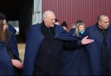 Президент посетил МТК ОАО «Нестановичи-Агро» в Логойском районе