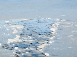 Иллюзия прочности под ногами: почему так коварен весенний лед?
