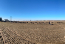 На Минщине зоотехник скрывал порчу сенажа