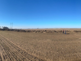 На Минщине зоотехник скрывал порчу сенажа