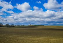 Обзор агрометеорологической ситуации на 24 марта: тёплая погода способствует просыханию и прогреванию почвы