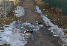 «Чужой дом – не помойка». Борисовчанка в сети призвала к ответственности тех, кто выбрасывает мусор в неположенном месте