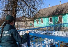 Профилактика пожаров: МЧС проводит мероприятия по безопасности в Борисовском районе