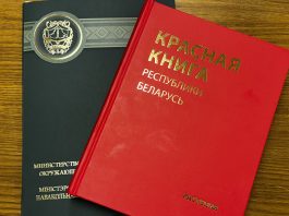 Сезон охоты: как отличить разрешенных к добыче пернатых от запрещенных