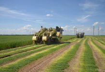 Уголовное дело против директора ОАО «Слуцкий льнозавод» из-за масштабной порчи урожая льна