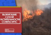 Выжигание сухой растительности. Будьте осторожны с огнем в пожароопасный период!