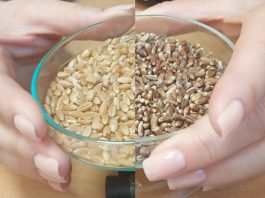 Насколько и каким семенным материалом хозяйства Борисовского района обеспечены на предстоящую посевную