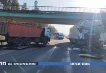 ДТП в Борисовском районе