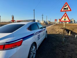 Обеспечение безопасности на железнодорожных переездах: рейды ГАИ Минской области