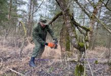 Месячник по благоустройству, стартовавший на Минщине, начался с масштабного сельскохозяйственного субботника