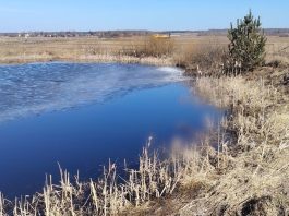 В Борисовском районе обнаружено тело пропавшего мужчины