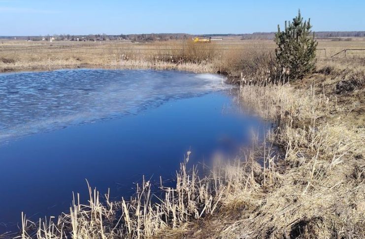 В Борисовском районе обнаружено тело пропавшего мужчины