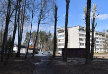 Работа по обрезке деревьев и уборке древесных остатков продолжается в Борисове