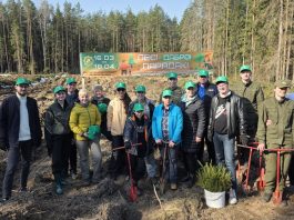 Сотрудники Министерства связи и информатизации республики сажали лес на Борисовщине