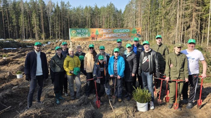 Сотрудники Министерства связи и информатизации республики сажали лес на Борисовщине
