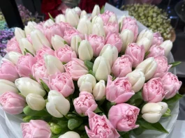 Три тысячи тюльпанов? Нет, не видели. Борисовчанина обманули мошенники Три тысячи тюльпанов? Нет, не видели. Борисовчанина обманули мошенники