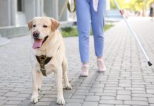 Налог на содержание собак в Борисове? Будет ли так же, как в Минске