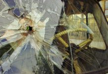 Кипела страсть, летела… селедка под шубой. Как новогодняя ссора одной пары испортила отдых автовладельцам Борисова