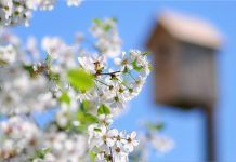 В Минтруда рассказали, как белорусы будут отдыхать в мае