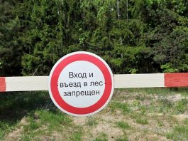 Внимание! Запрет на посещение лесов в Борисовском районе из-за высокого класса пожарной опасности