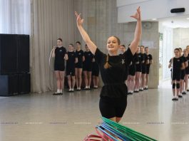 Областной семинар-практикум для руководителей любительских цирковых коллективов прошел в Борисове