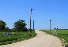 Белорусская железная дорога призывает граждан соблюдать правила пересечения железнодорожных переездов во избежание столкновения с поездом