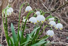 На смену зимним пейзажам приходит нежная акварель весны. Фоторепортаж