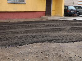 Ямочный ремонт и озеленение. Где в Борисове сегодня велись работы по благоустройству